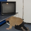 picture-18.jpg picture-18.jpg